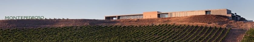 Lee más sobre el artículo Rueda: Viaje a la cuna del verdejo