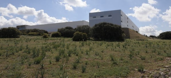 Lee más sobre el artículo Caso práctico: La importancia de las plantas en el viñedo