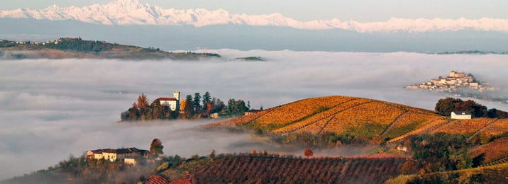 Lee más sobre el artículo Piamonte: Las nieblas del Barolo y Barbaresco