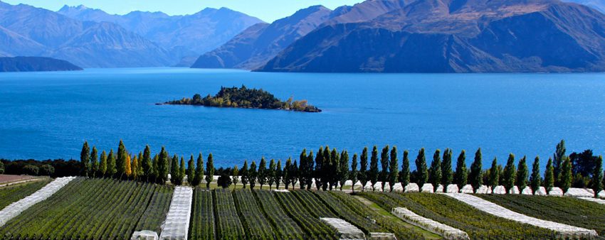 Lee más sobre el artículo Nueva Zelanda: La campiña francesa