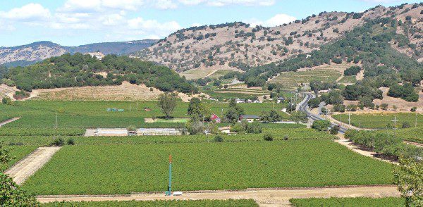 Napa_Valley