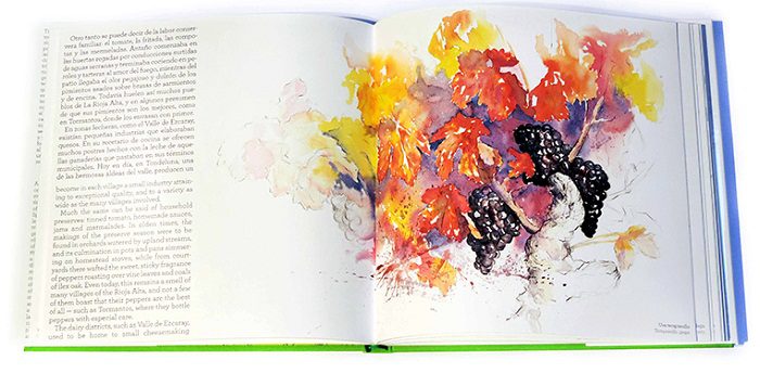 Lee más sobre el artículo Rioja Alta, el libro del artista  Juanjo San Pedro y el etnógrafo Luis Vicente Elías elegido mejor libro de vino del mundo
