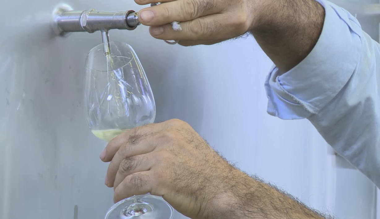 Read more about the article Finca Montepedroso: aged on fine lees