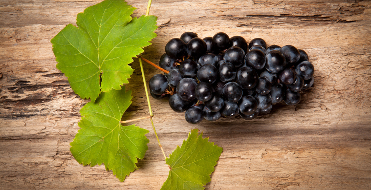 Lee más sobre el artículo Día Internacional de la Garnacha #GrenacheDay