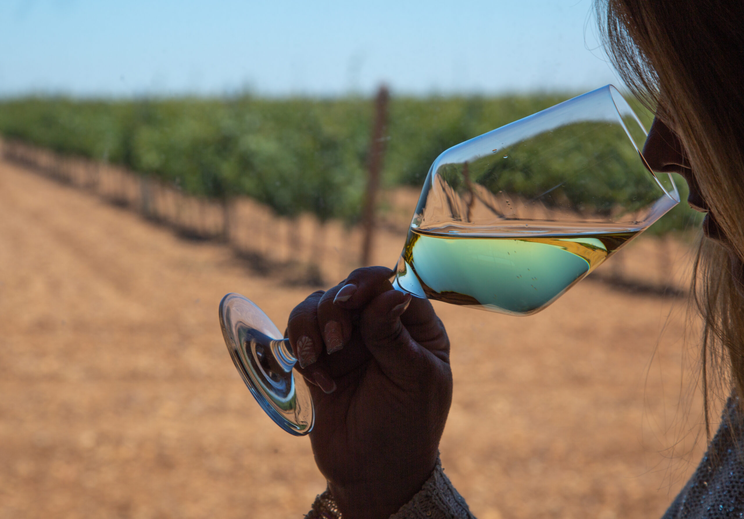 Lee más sobre el artículo El poder de los aromas del vino
