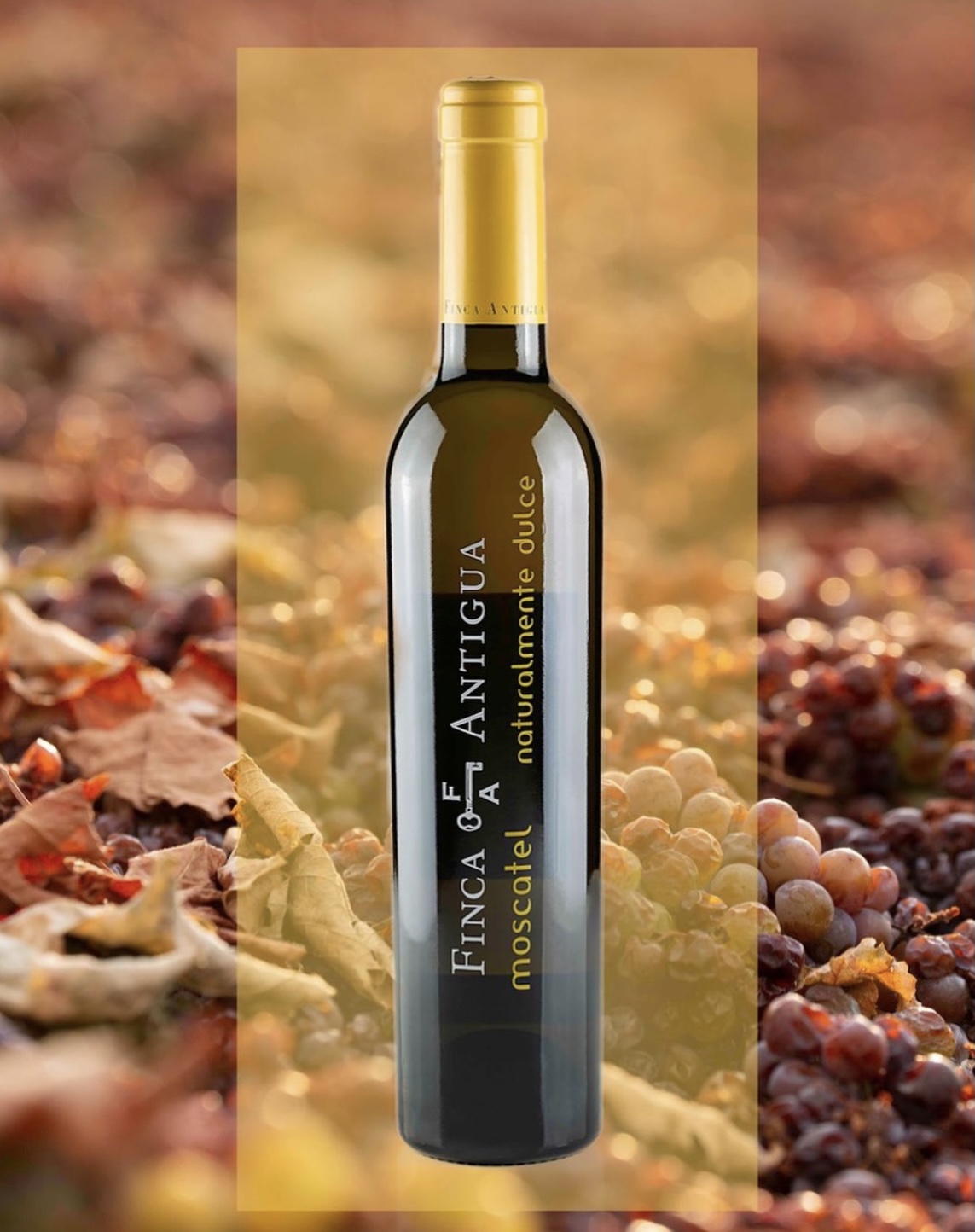 Read more about the article Sweet wines: the powerful influence of muscatel