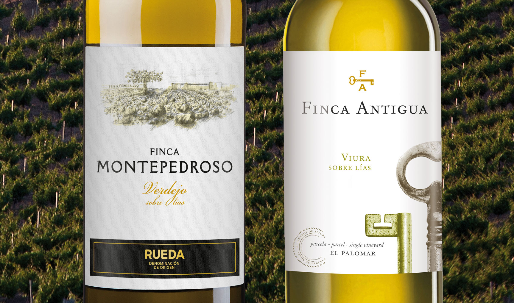Read more about the article Everything you wanted to know about white wines aged on lees, but were afraid to ask