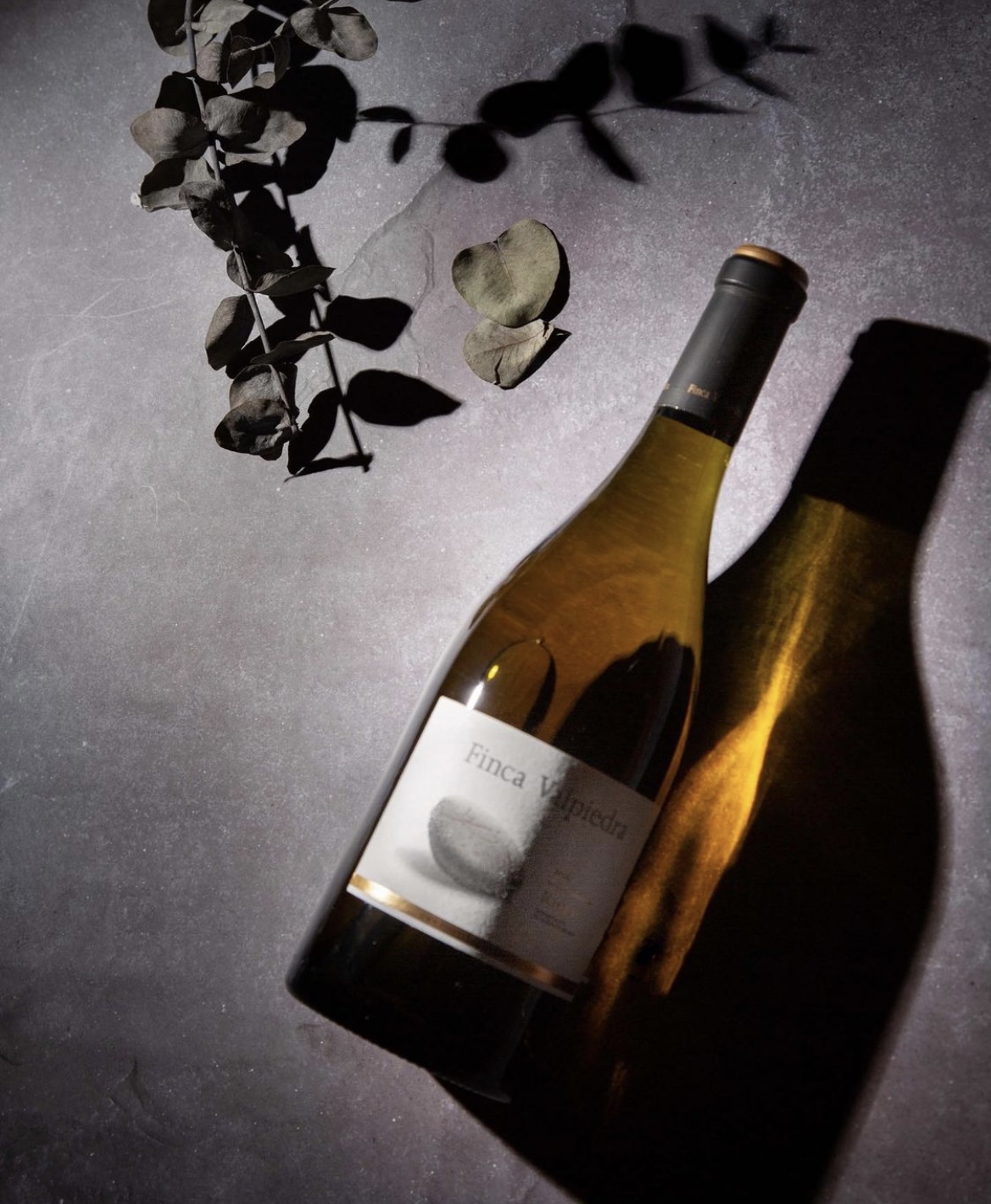 Lee más sobre el artículo La Rioja también es tierra de blancos, jóvenes y reservas