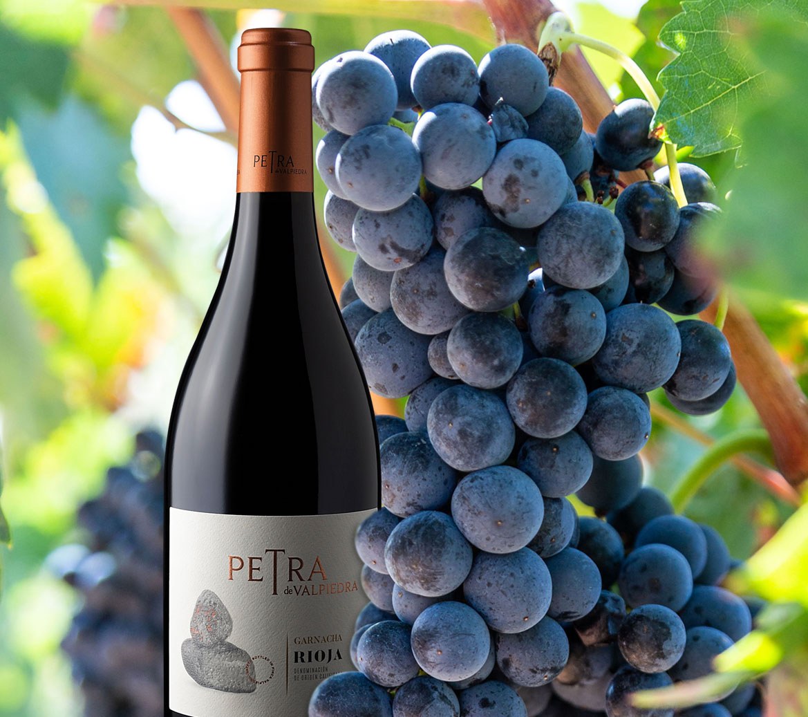 Lee más sobre el artículo Garnacha, versatilidad y elegancia
