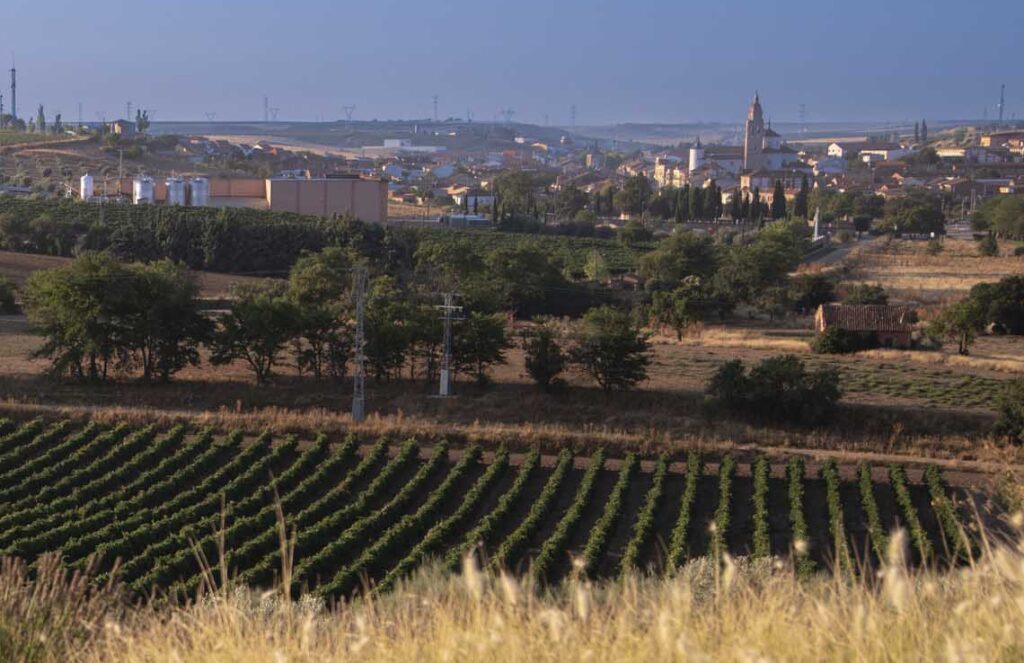 Entorno Montepedroso