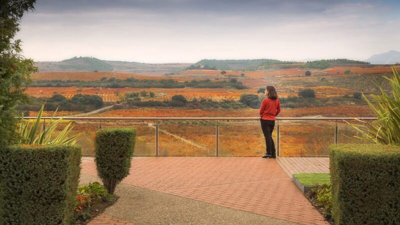 Finca Valpiedra