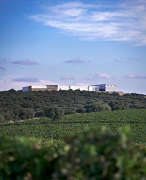 Finca Antigua