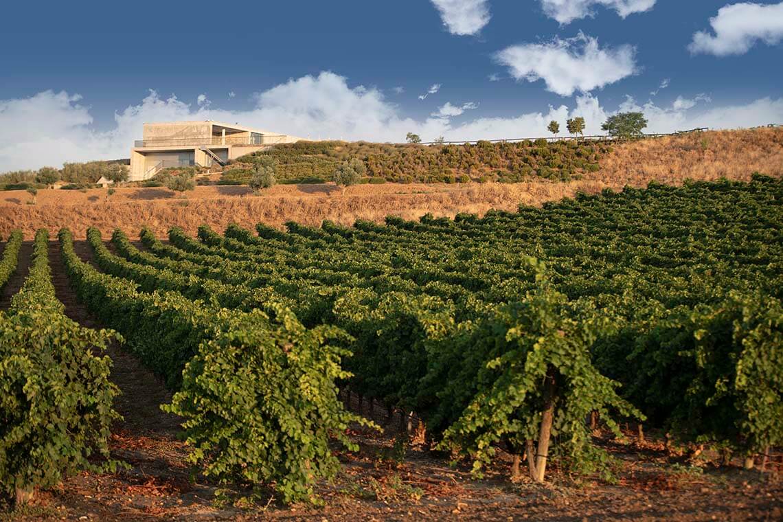 Finca Montepedroso