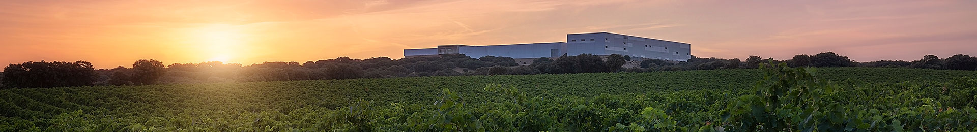 Finca Antigua