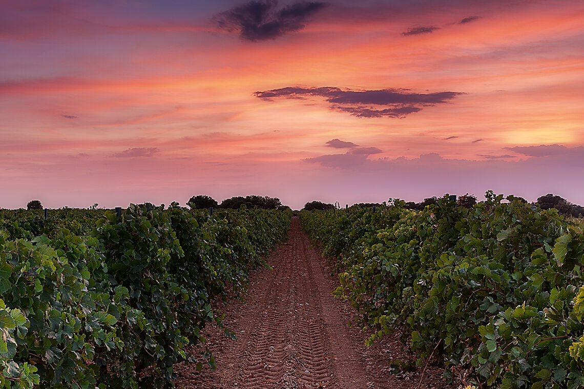 Finca Antigua