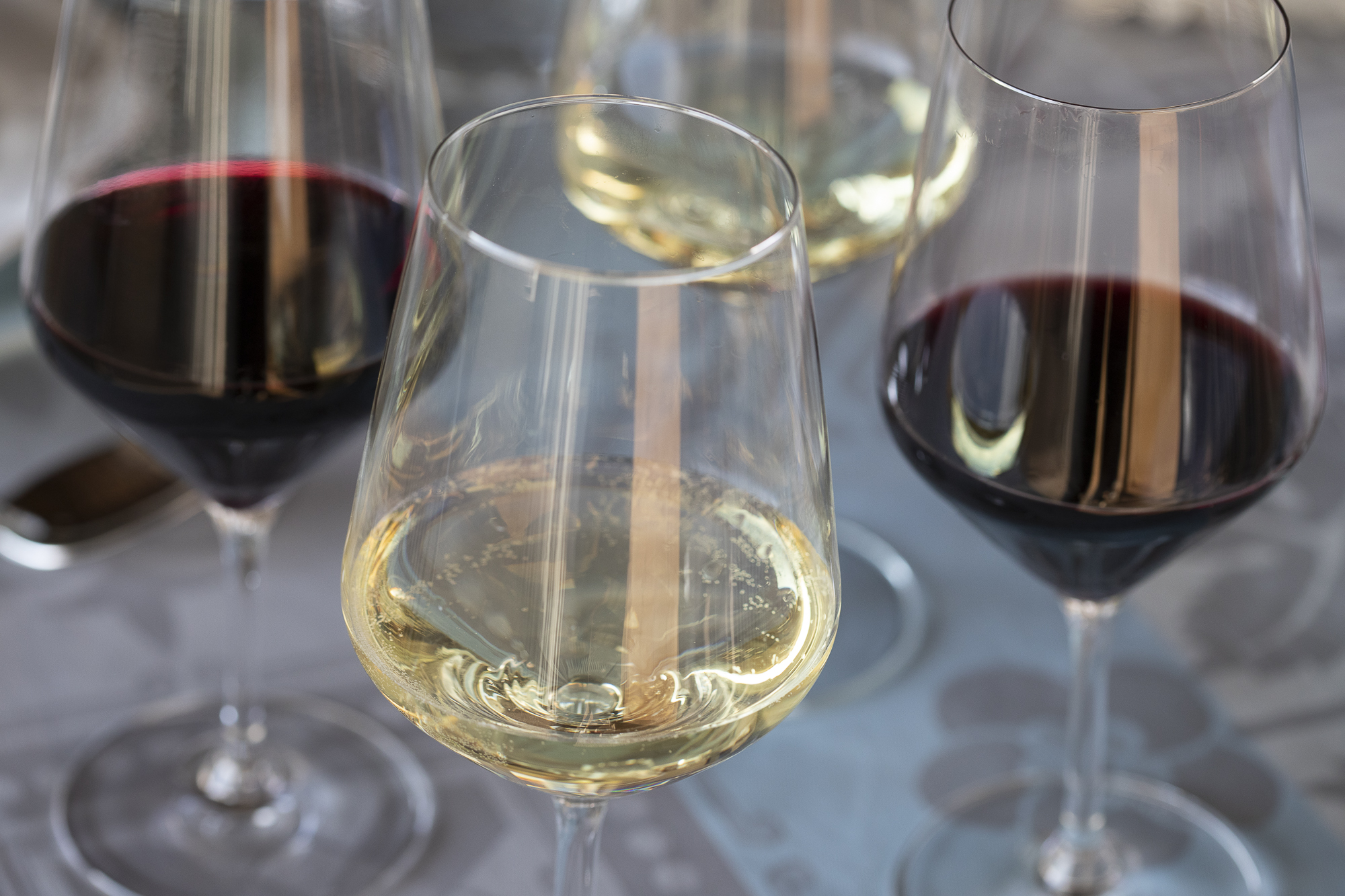 Lee más sobre el artículo El diccionario del mundo del vino (Vol. I)