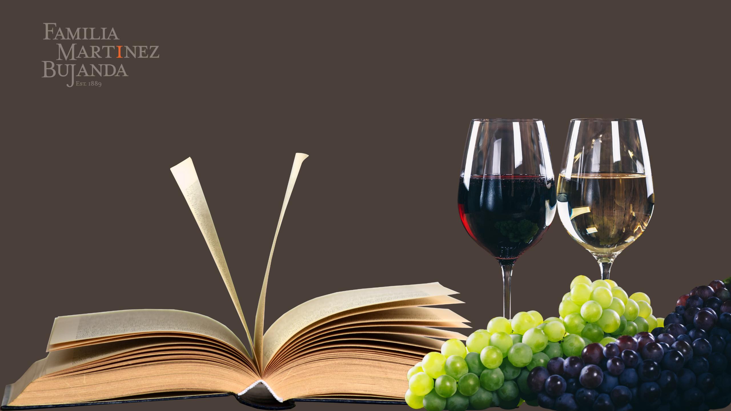Lee más sobre el artículo Los diez mejores libros para aprender y disfrutar del vino