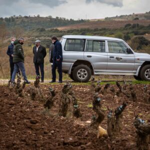 Alma de Valpiedra: experiencia 4×4 entre viñedos (35 €)