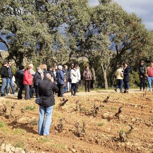 Soul of Valpiedra: 4×4 Vineyard Experience (35 €)