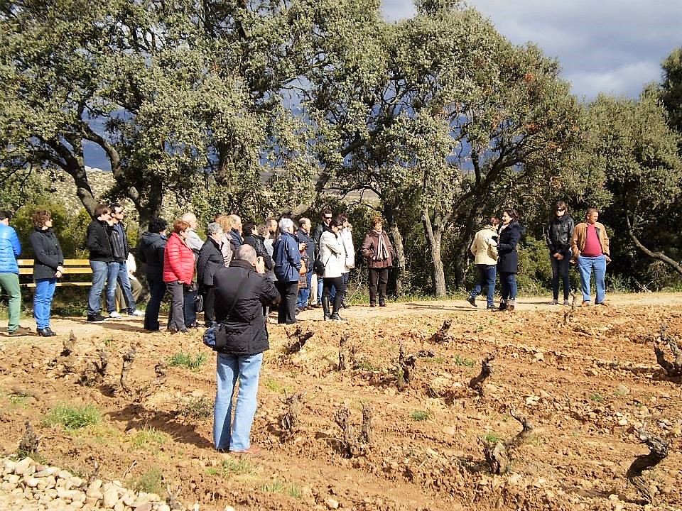 Soul of Valpiedra: 4x4 Vineyard Experience (35 €) - Image 2