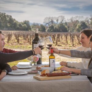 Sabores del Ebro: Vino y Picnic a orillas del río (80 €/persona)
