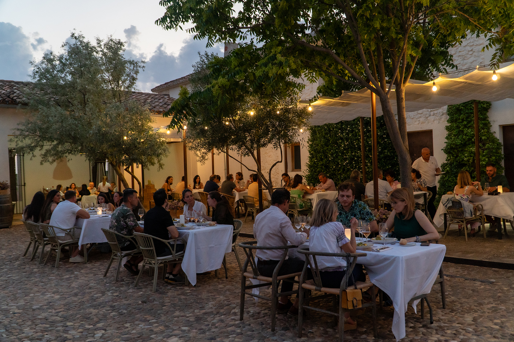 Atardecer en Finca Antigua (Los Hinojosos-Cuenca) - Imagen 4