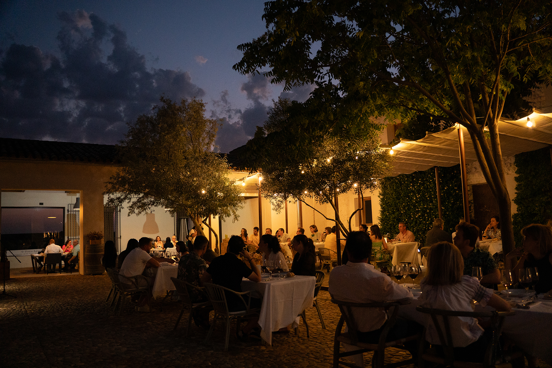 Atardecer en Finca Antigua (Los Hinojosos-Cuenca) - Imagen 2