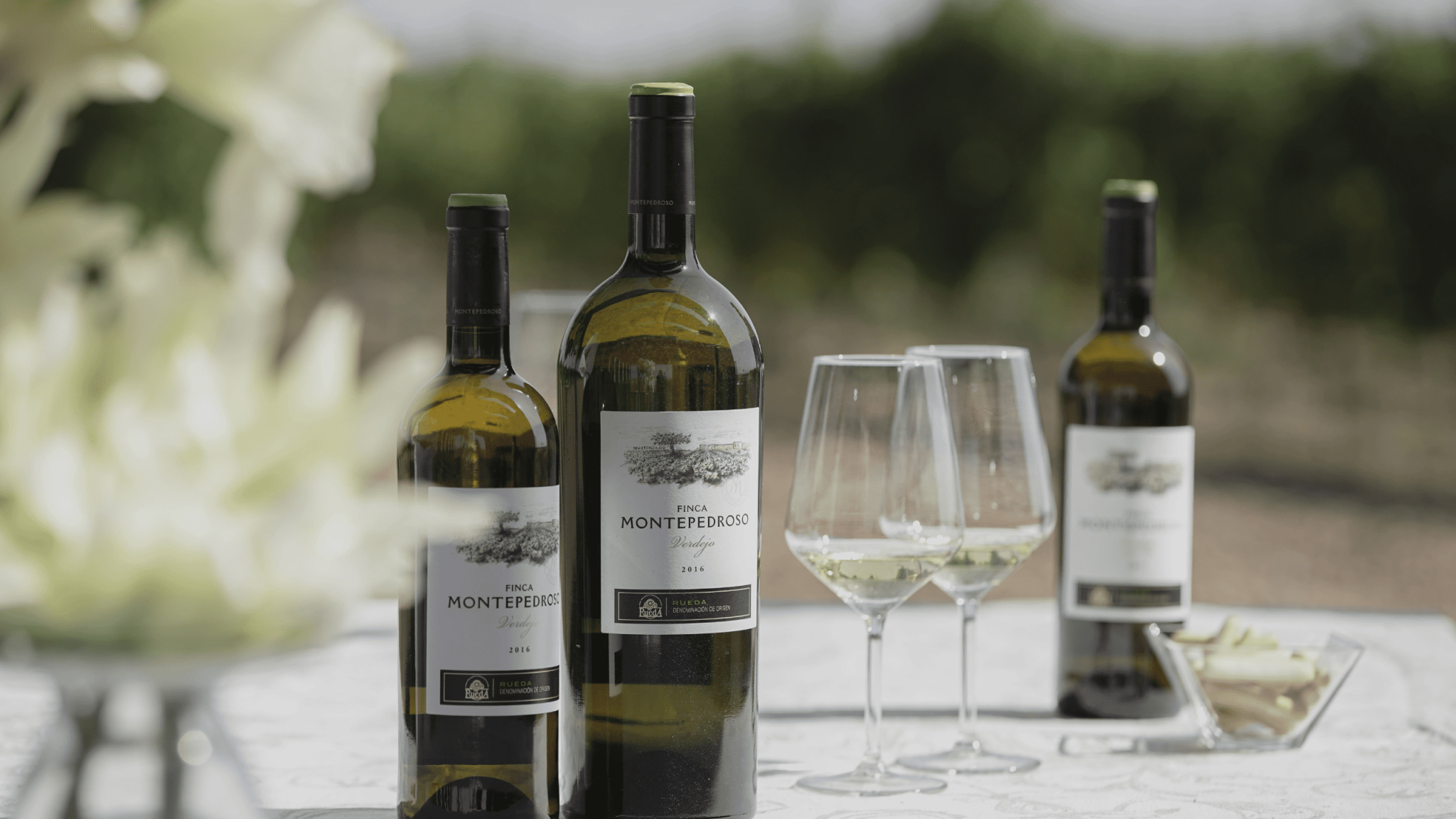 Lee más sobre el artículo El retorno al auténtico verdejo en Finca Montepedroso