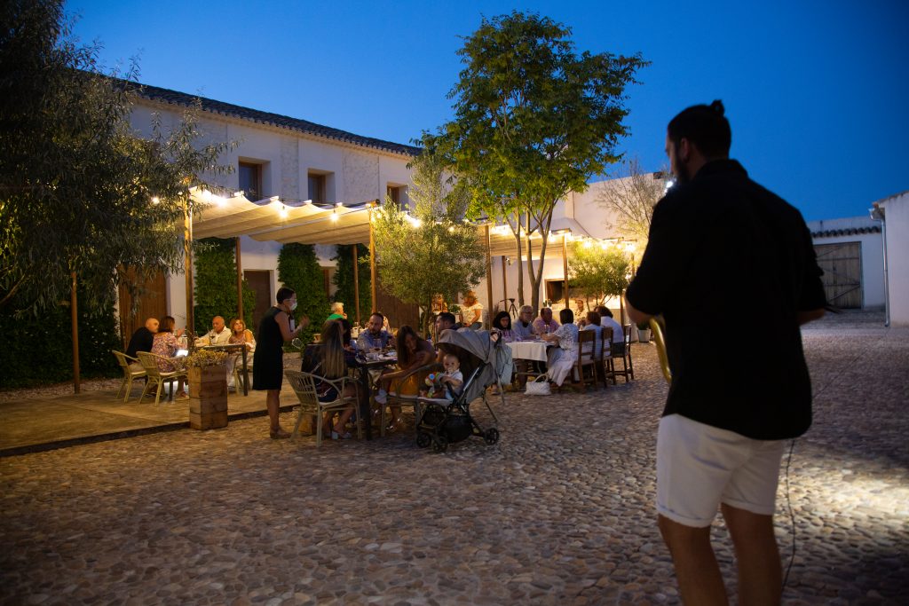 The nature of the old farm summer atmosphere watching sunset in the vineyards