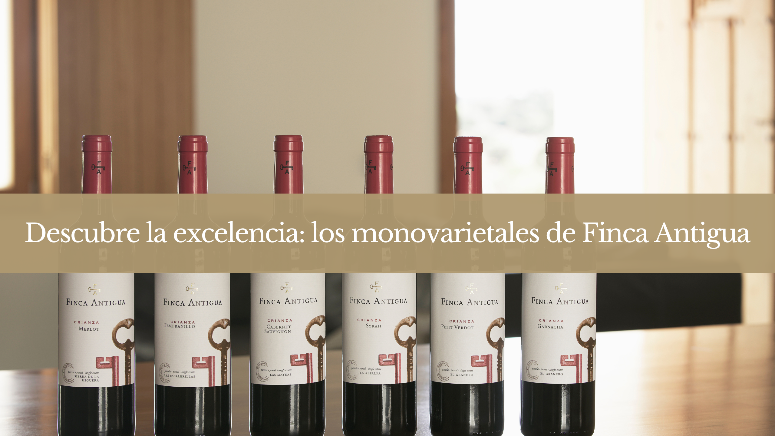 Read more about the article Discovering winemaking excellence: Finca Antigua’s single-varietal wines