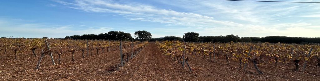 Turismo de Vino