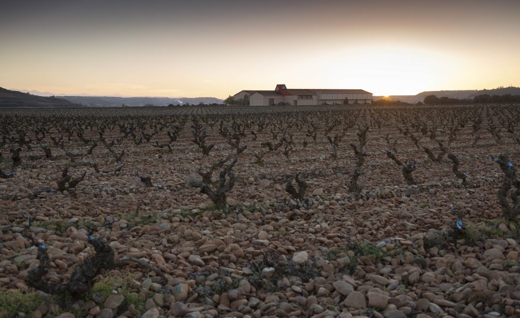 Terruño Finca Valpiedra