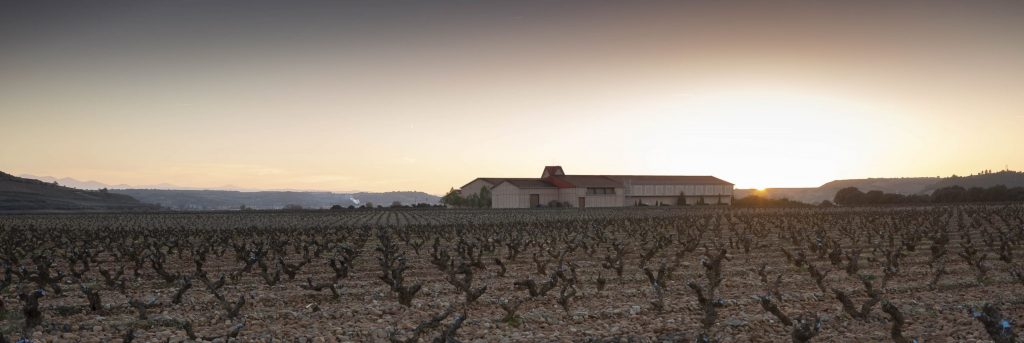 Terruño Finca Valpiedra