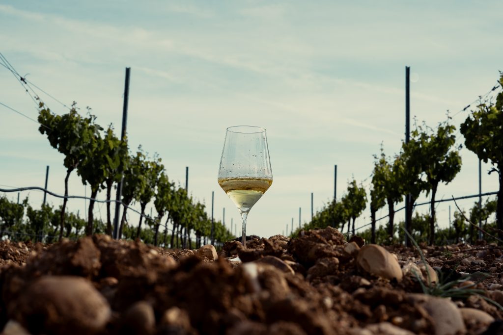 Mitos y verdades sobre el vino
