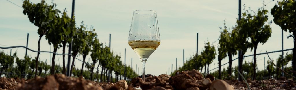 Mitos y verdades sobre el vino