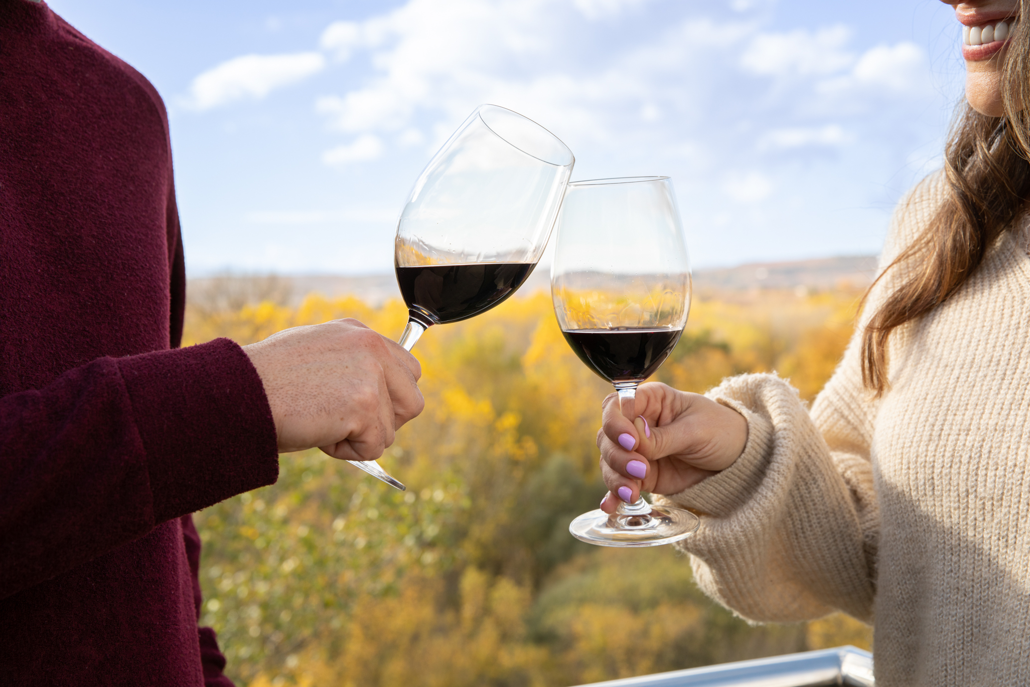 Soul of Valpiedra: 4x4 Vineyard Experience (35 €) - Image 8