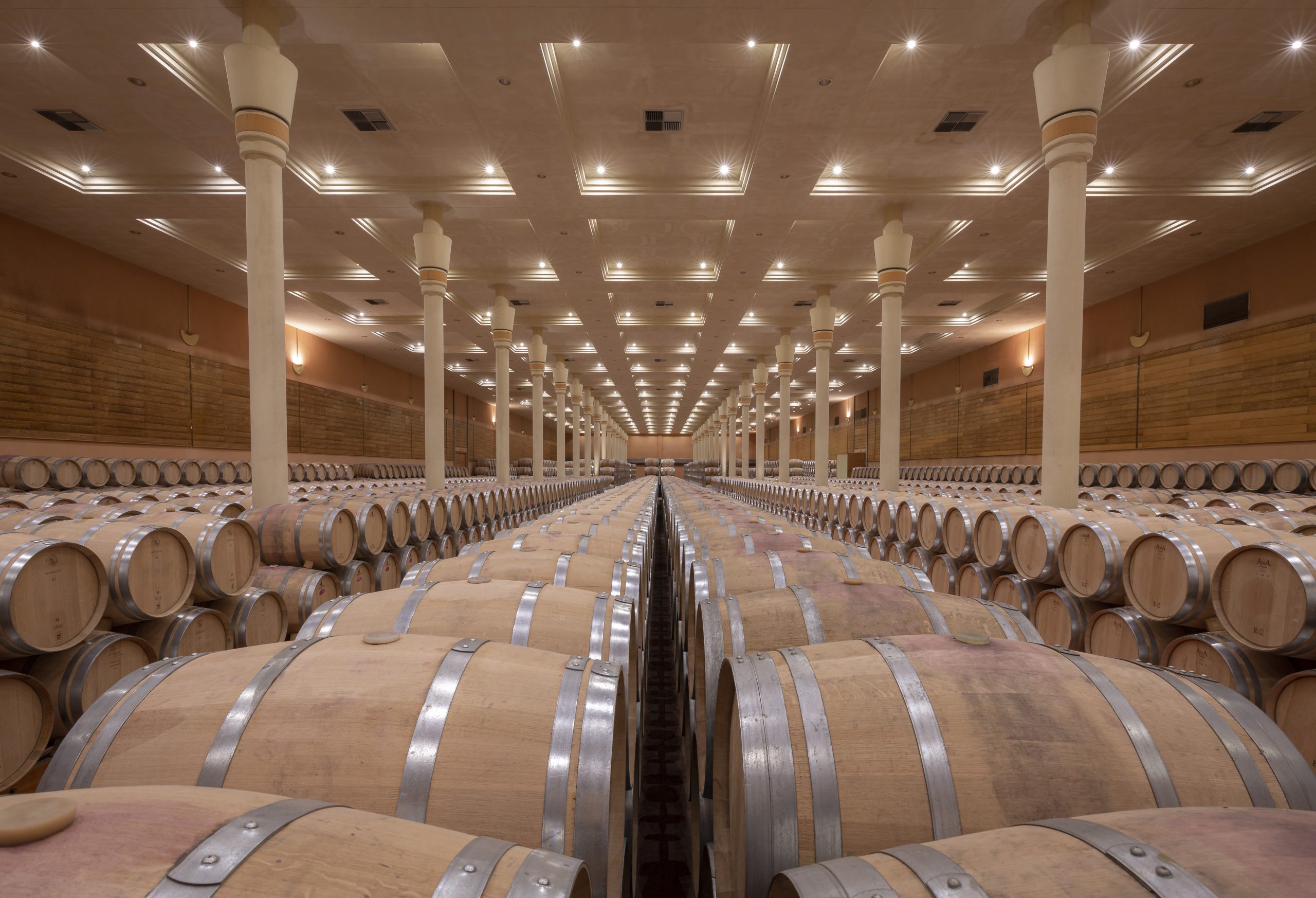 Soul of Valpiedra: 4x4 Vineyard Experience (35 €) - Image 6