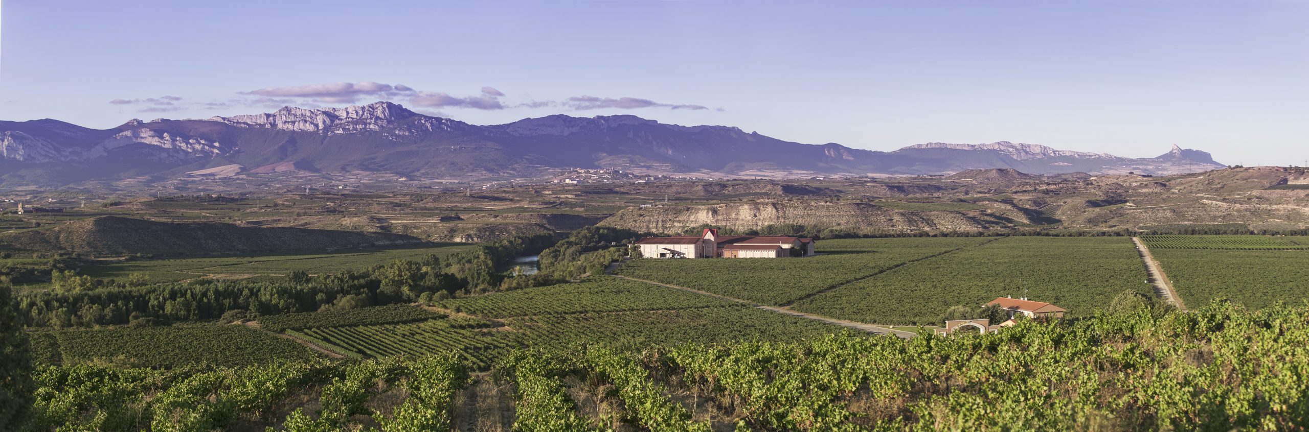 Soul of Valpiedra: 4x4 Vineyard Experience (35 €) - Image 5
