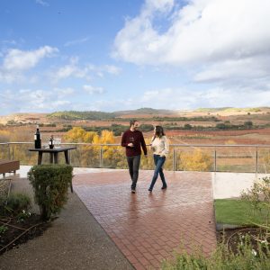 Visita Esencial en La Rioja (22 €)