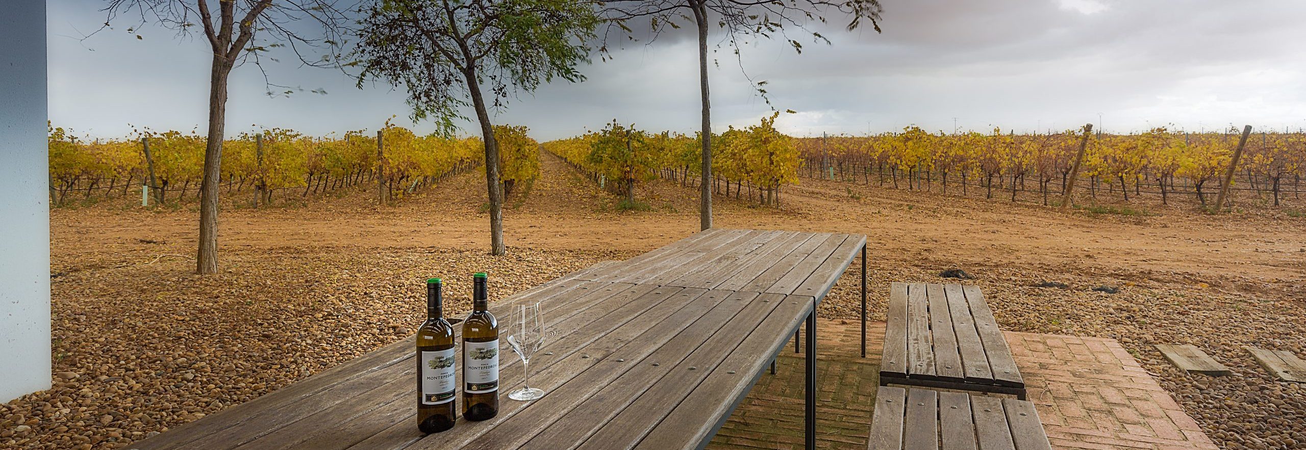 Lee más sobre el artículo El otoño a través de tu copa de vino