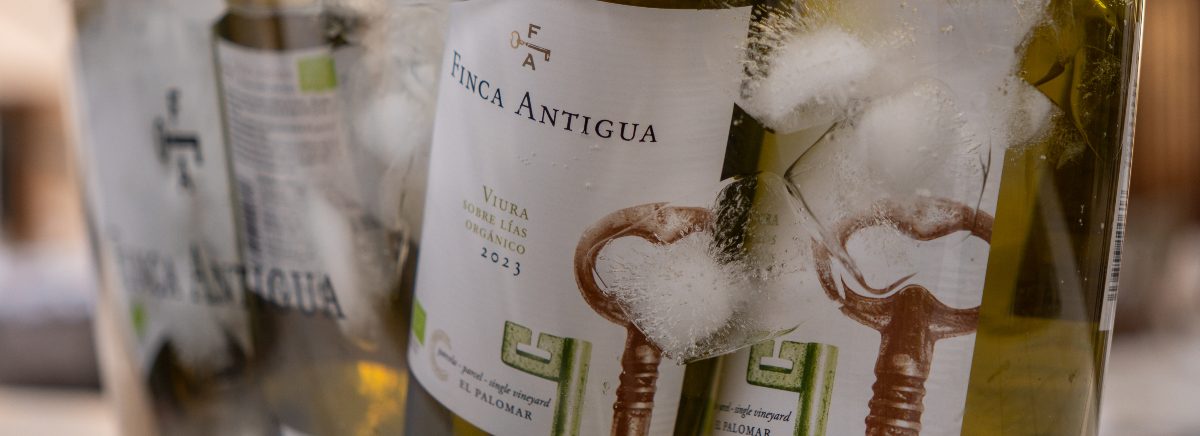 Lee más sobre el artículo La historia que cuenta cada botella: descifra los secretos de nuestras etiquetas