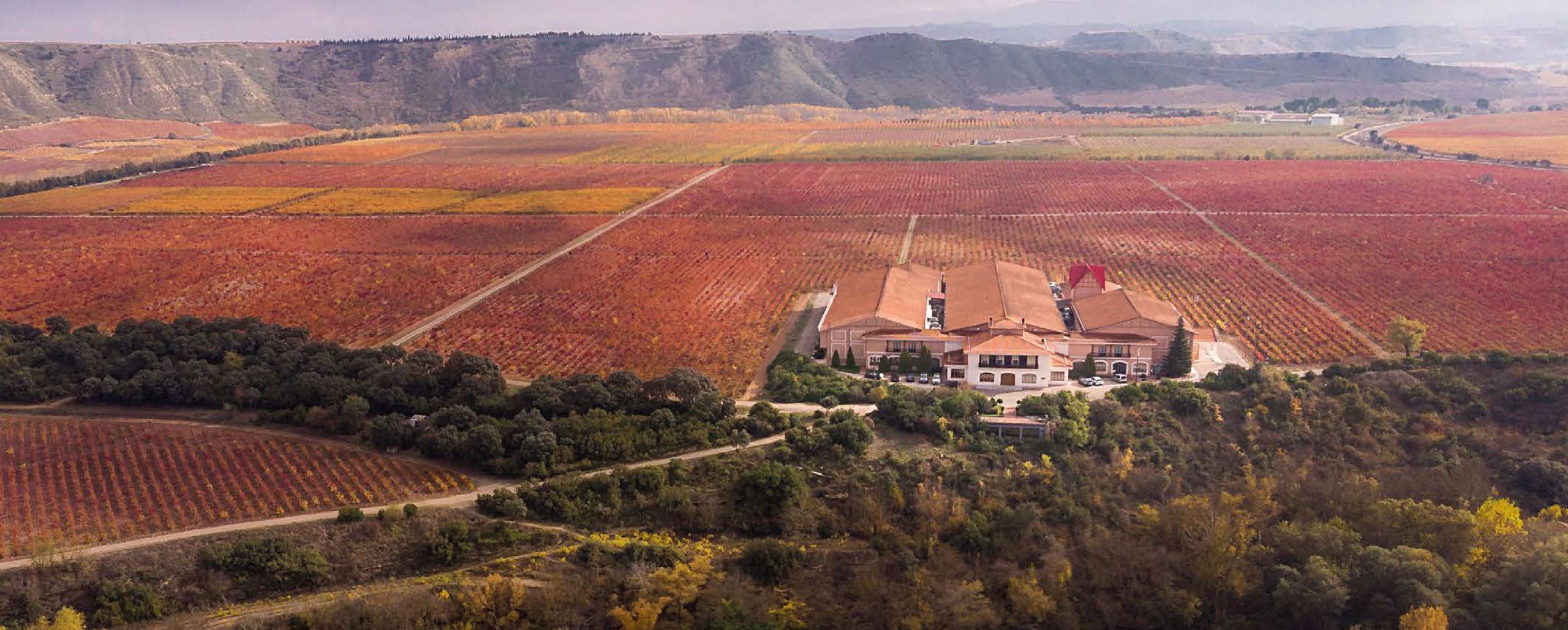 Soul of Valpiedra: 4x4 Vineyard Experience (35 €) - Image 7