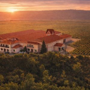 Visita Esencial en La Rioja (22 €)