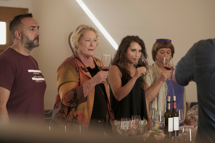 Lee más sobre el artículo Tipos de cata: seis formas de descubrir el vino desde perspectivas diferentes